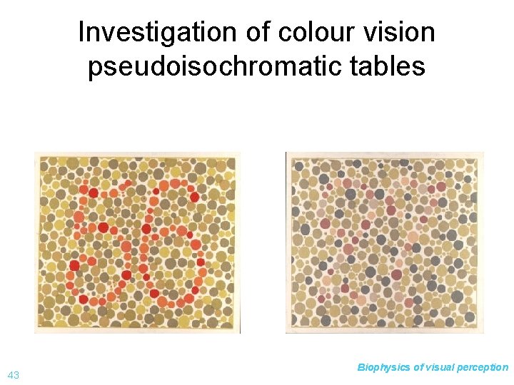 Investigation of colour vision pseudoisochromatic tables 43 Biophysics of visual perception 