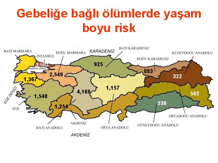 Gebeliğe bağlı ölümlerde yaşam boyu risk 925 3, 180 1, 367 883 2, 549