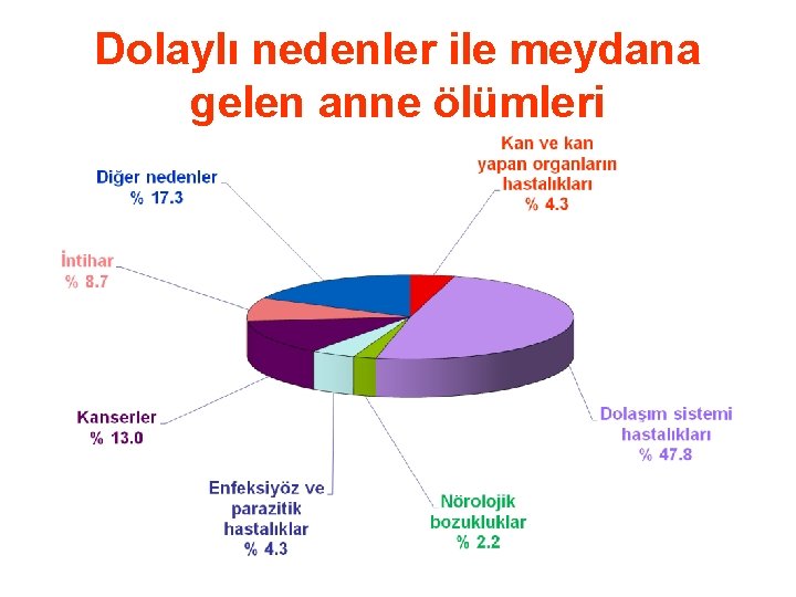 Dolaylı nedenler ile meydana gelen anne ölümleri 