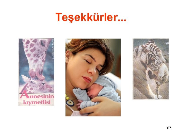 Teşekkürler. . . 87 