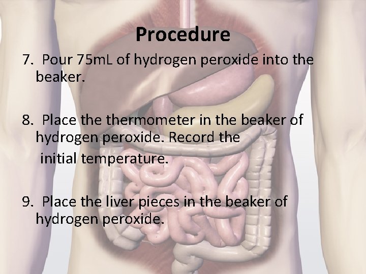 Procedure 7. Pour 75 m. L of hydrogen peroxide into the beaker. 8. Place