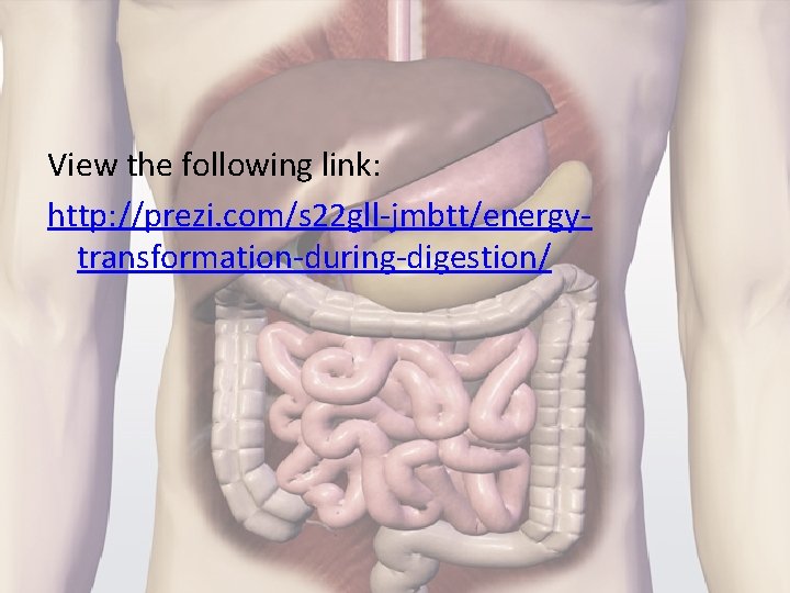 View the following link: http: //prezi. com/s 22 gll-jmbtt/energytransformation-during-digestion/ 