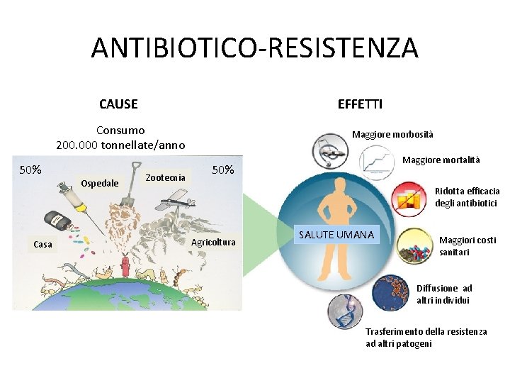 ANTIBIOTICO-RESISTENZA CAUSE EFFETTI Consumo 200. 000 tonnellate/anno 50% Casa Ospedale Zootecnia Maggiore morbosità Maggiore