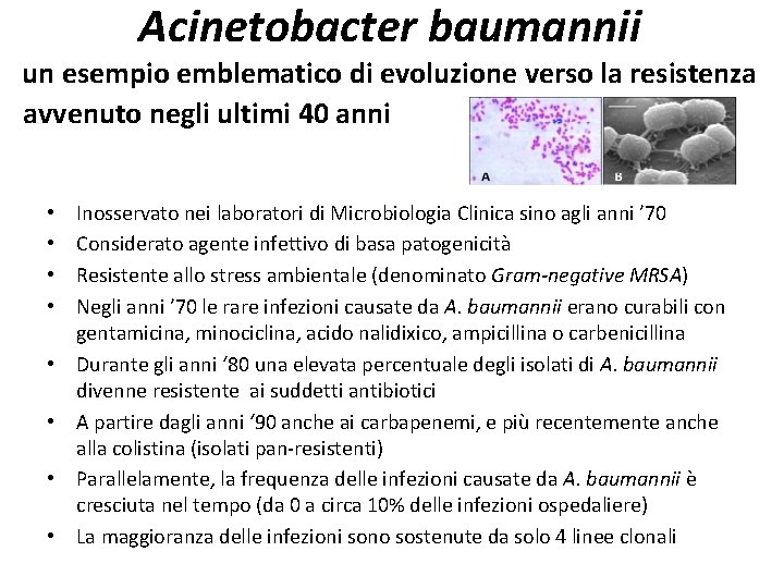 Acinetobacter baumannii un esempio emblematico di evoluzione verso la resistenza avvenuto negli ultimi 40