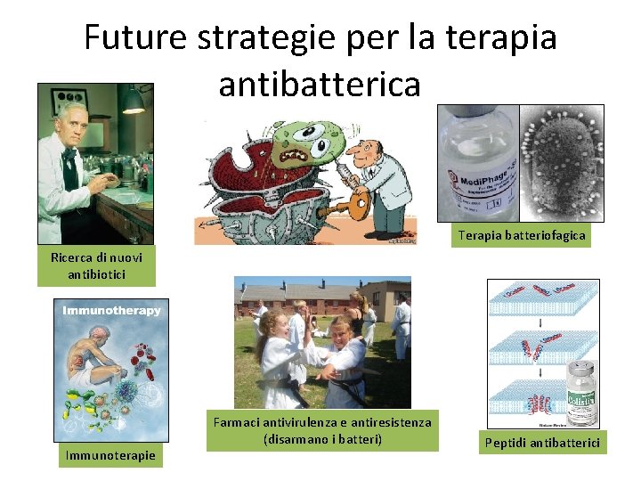 Future strategie per la terapia antibatterica Terapia batteriofagica Ricerca di nuovi antibiotici Immunoterapie Farmaci