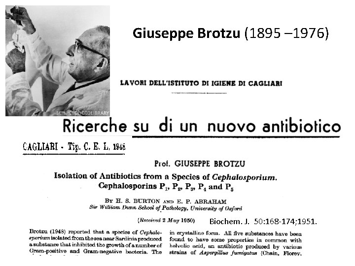 Giuseppe Brotzu (1895 – 1976) Biochem. J. 50: 168 -174; 1951. B 