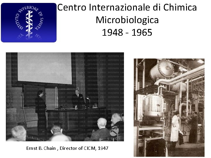Centro Internazionale di Chimica Microbiologica 1948 - 1965 Ernst B. Chain , Director of