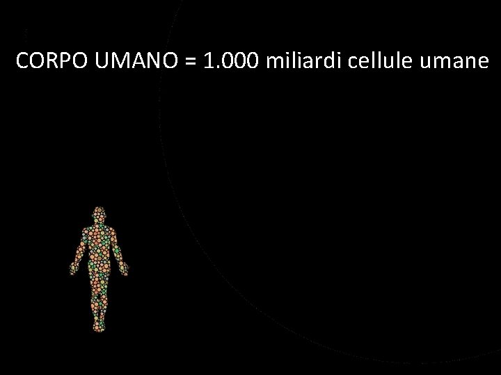 CORPO UMANO = 1. 000 miliardi cellule umane 