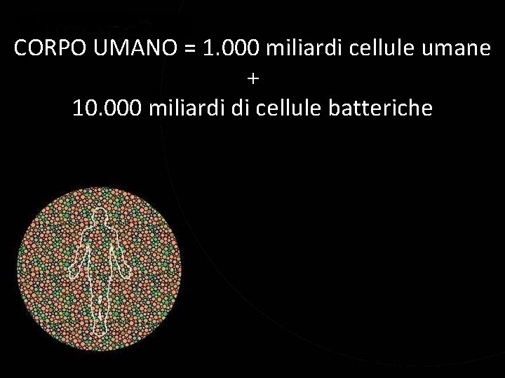 CORPO UMANO = 1. 000 miliardi cellule umane + 10. 000 miliardi di cellule