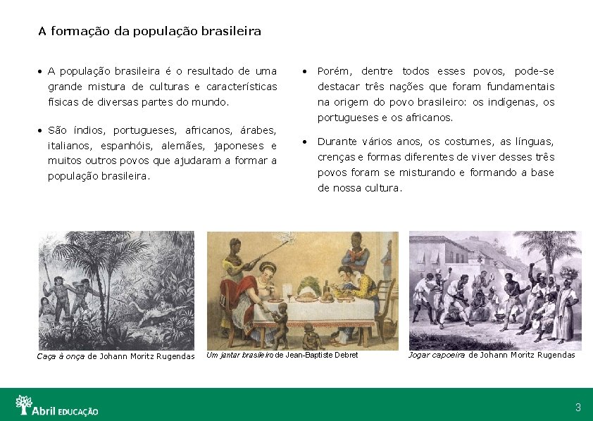 A formação da população brasileira • A população brasileira é o resultado de uma