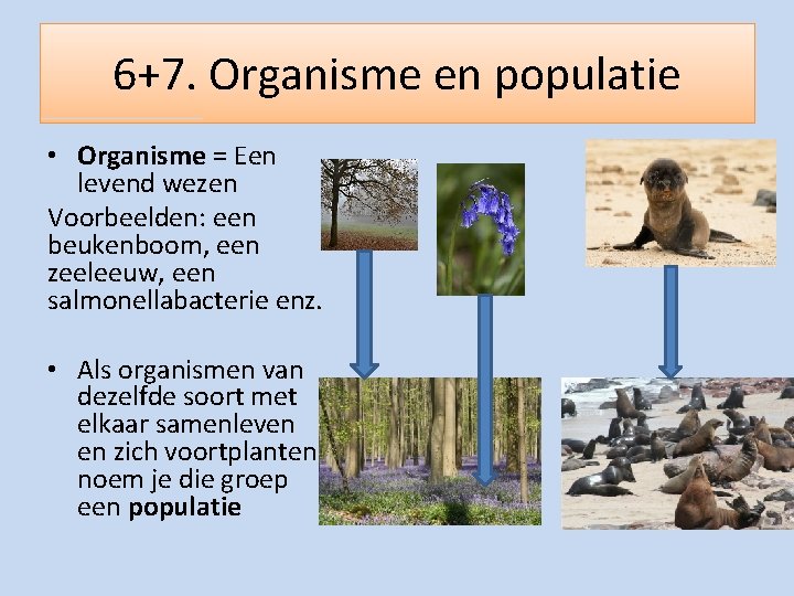 6+7. Organisme en populatie • Organisme = Een levend wezen Voorbeelden: een beukenboom, een