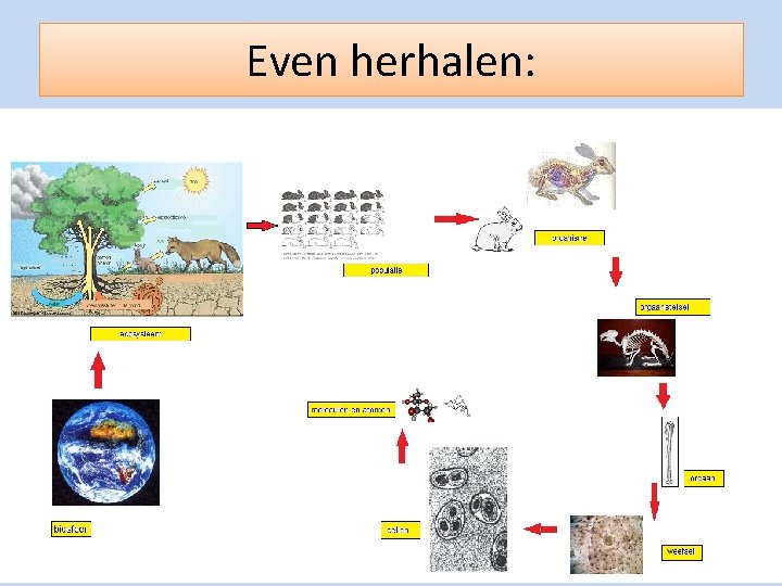 Even herhalen: 