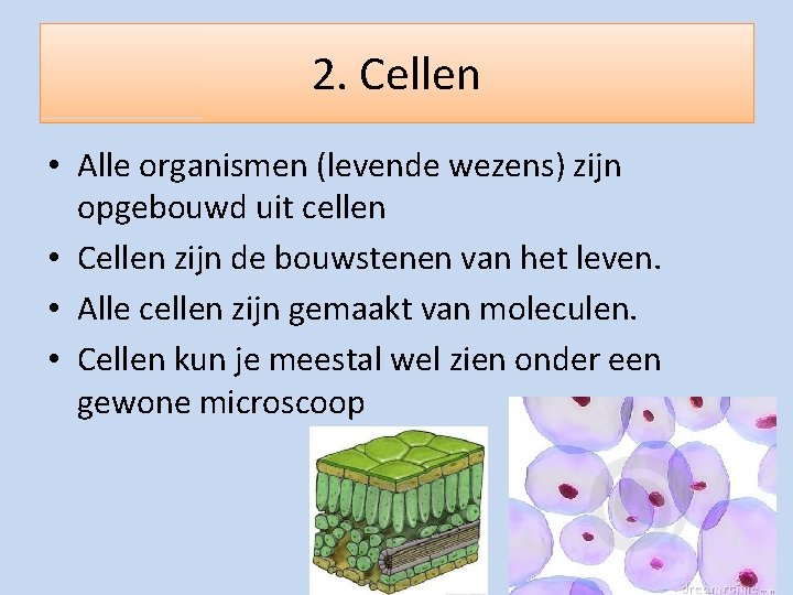 2. Cellen • Alle organismen (levende wezens) zijn opgebouwd uit cellen • Cellen zijn