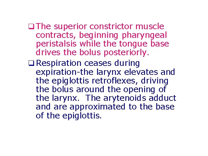 q The superior constrictor muscle contracts, beginning pharyngeal peristalsis while the tongue base drives