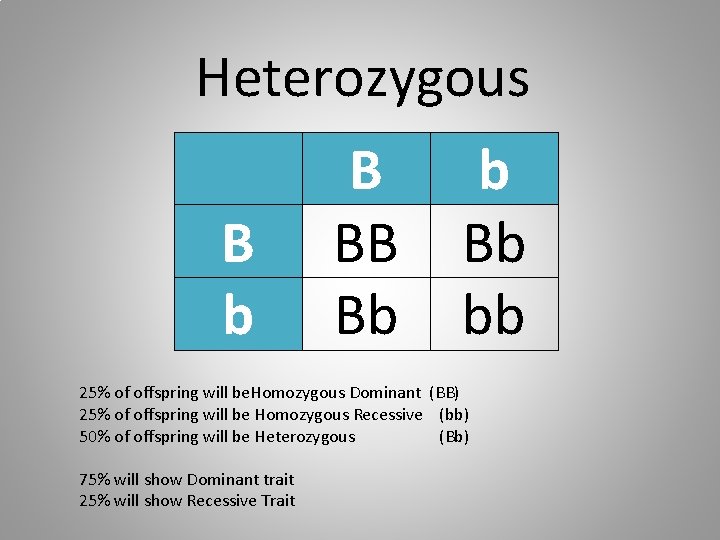 Heterozygous B b B BB Bb bb 25% of offspring will be. Homozygous Dominant