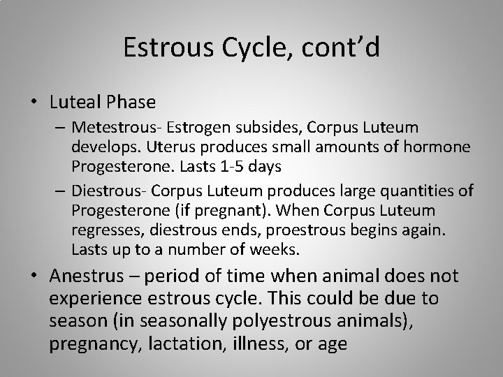 Estrous Cycle, cont’d • Luteal Phase – Metestrous- Estrogen subsides, Corpus Luteum develops. Uterus