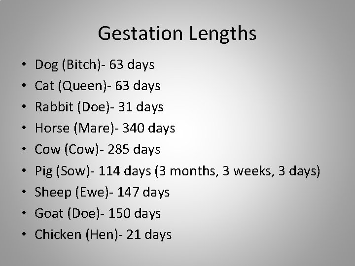 Gestation Lengths • • • Dog (Bitch)- 63 days Cat (Queen)- 63 days Rabbit