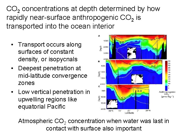 CO 2 concentrations at depth determined by how rapidly near-surface anthropogenic CO 2 is