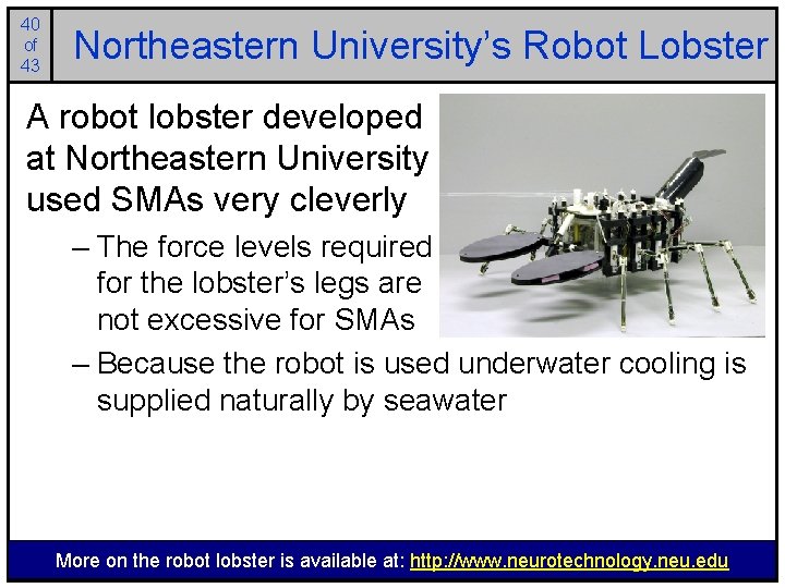 40 of 43 Northeastern University’s Robot Lobster A robot lobster developed at Northeastern University