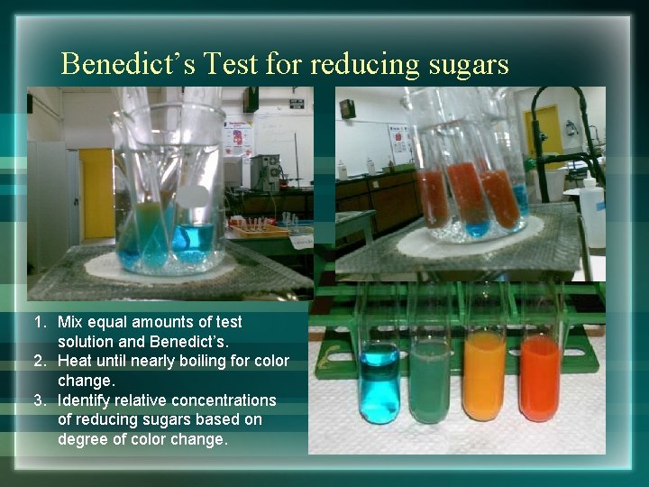 Benedict’s Test for reducing sugars 1. Mix equal amounts of test solution and Benedict’s.