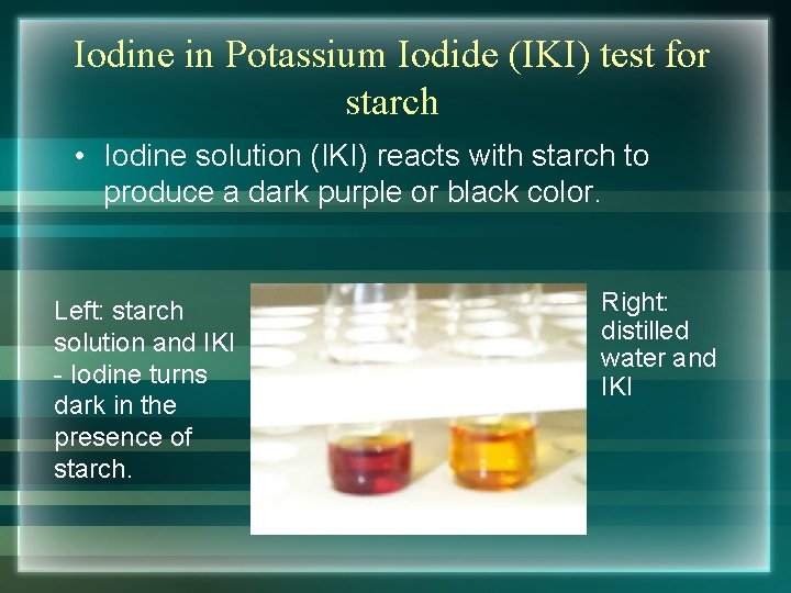 Iodine in Potassium Iodide (IKI) test for starch • Iodine solution (IKI) reacts with