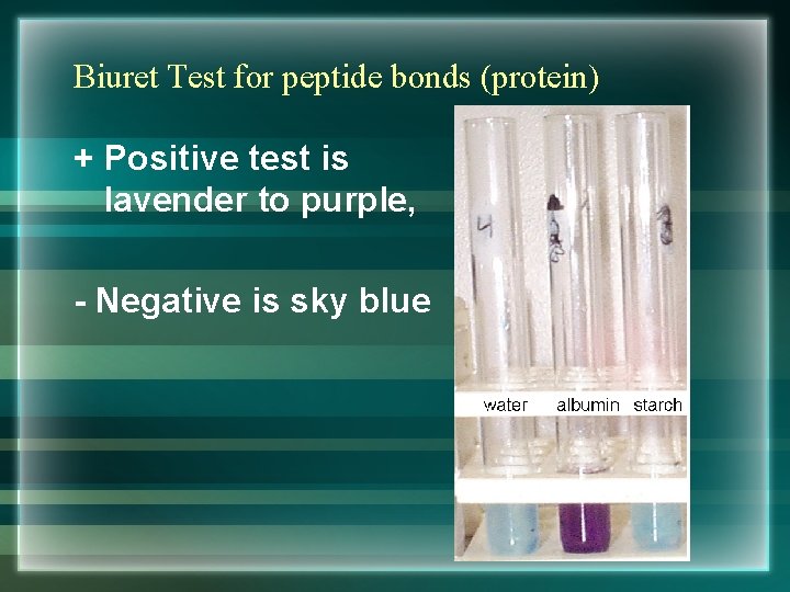 Biuret Test for peptide bonds (protein) + Positive test is lavender to purple, -