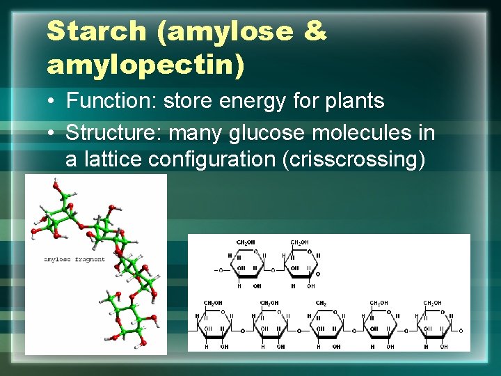Starch (amylose & amylopectin) • Function: store energy for plants • Structure: many glucose