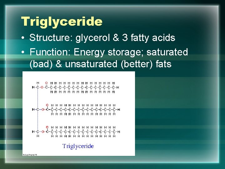Triglyceride • Structure: glycerol & 3 fatty acids • Function: Energy storage; saturated (bad)