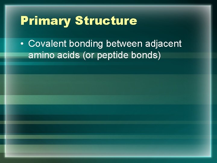 Primary Structure • Covalent bonding between adjacent amino acids (or peptide bonds) 