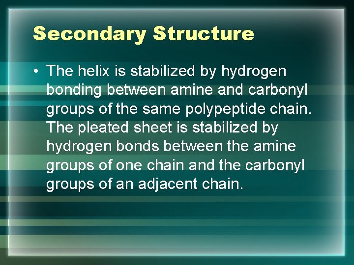 Secondary Structure • The helix is stabilized by hydrogen bonding between amine and carbonyl