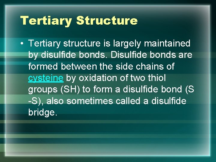 Tertiary Structure • Tertiary structure is largely maintained by disulfide bonds. Disulfide bonds are