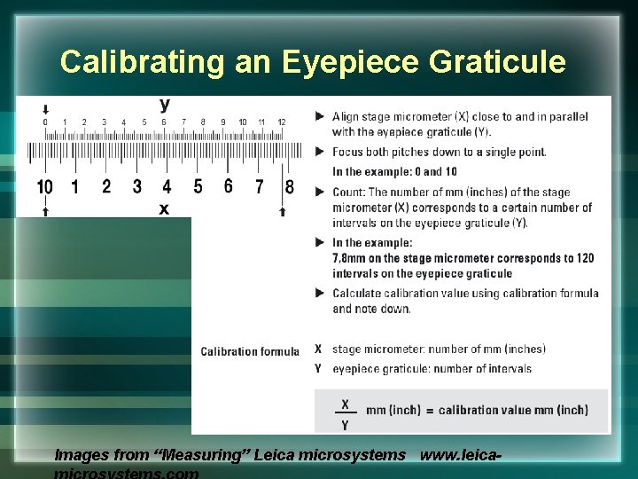 Calibrating an Eyepiece Graticule Images from “Measuring” Leica microsystems www. leica- 