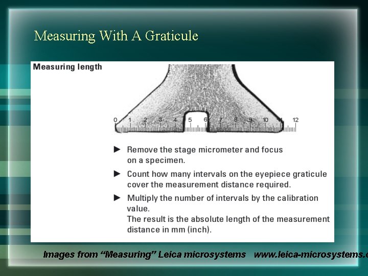 Measuring With A Graticule Images from “Measuring” Leica microsystems www. leica-microsystems. c 