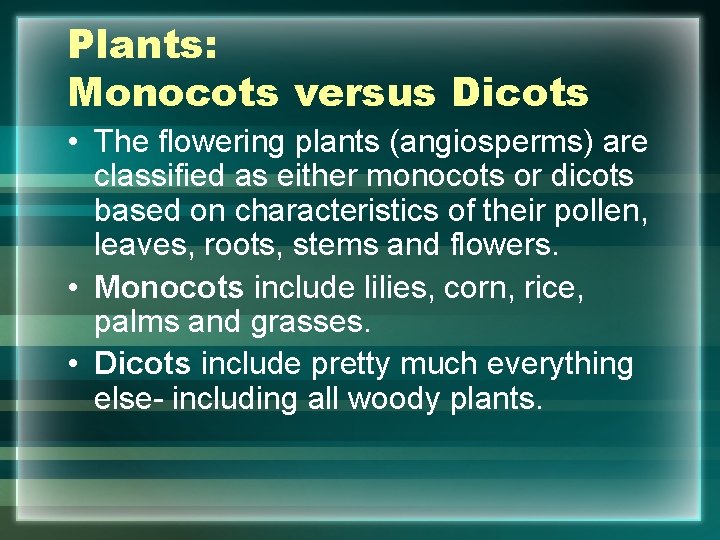 Plants: Monocots versus Dicots • The flowering plants (angiosperms) are classified as either monocots