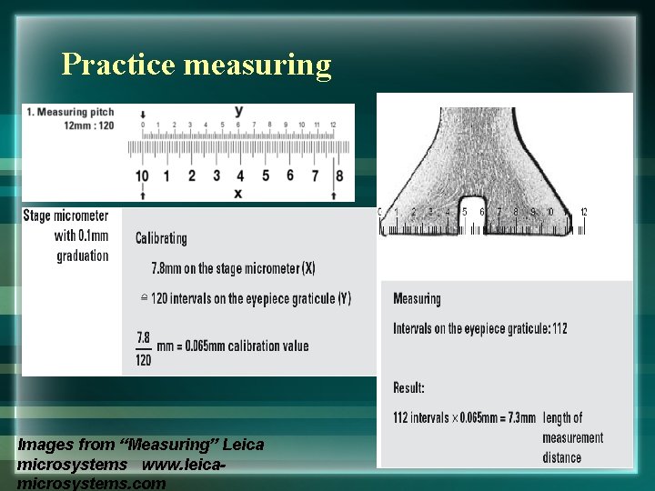 Practice measuring Images from “Measuring” Leica microsystems www. leicamicrosystems. com 