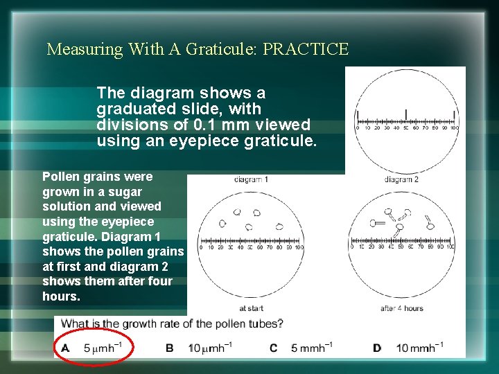 Measuring With A Graticule: PRACTICE The diagram shows a graduated slide, with divisions of