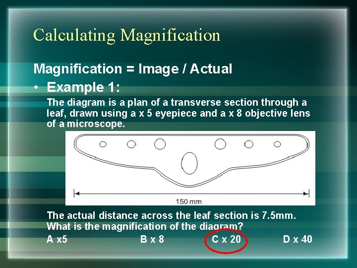 Calculating Magnification = Image / Actual • Example 1: The diagram is a plan
