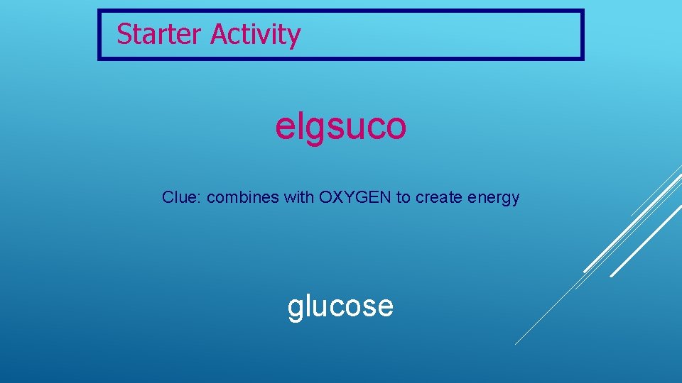 Starter Activity elgsuco Clue: combines with OXYGEN to create energy glucose 