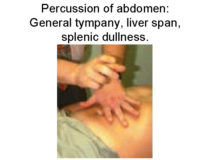 Percussion of abdomen: General tympany, liver span, splenic dullness. 