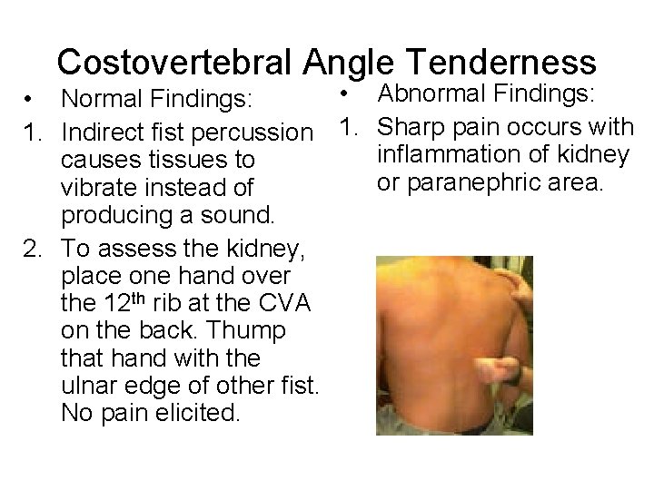 Costovertebral Angle Tenderness • • Normal Findings: 1. Indirect fist percussion 1. causes tissues