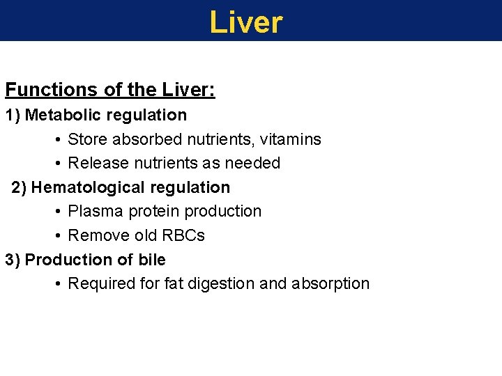 Liver Functions of the Liver: 1) Metabolic regulation • Store absorbed nutrients, vitamins •