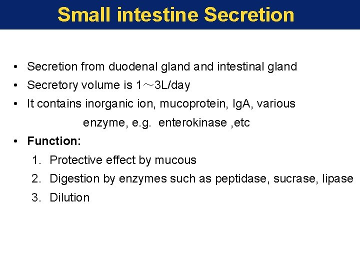 Small intestine Secretion • Secretion from duodenal gland intestinal gland • Secretory volume is