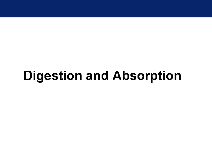 Digestion and Absorption 