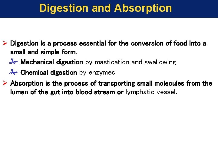 Digestion and Absorption Ø Digestion is a process essential for the conversion of food