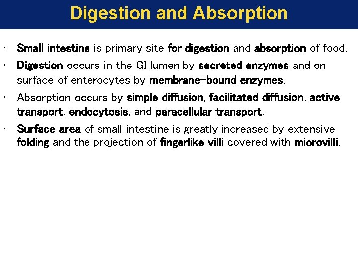 Digestion and Absorption • Small intestine is primary site for digestion and absorption of