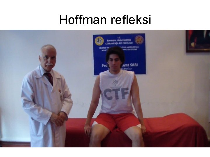 Hoffman refleksi 