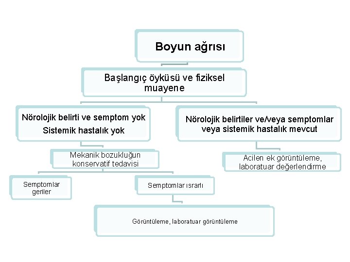 Boyun ağrısı Başlangıç öyküsü ve fiziksel muayene Nörolojik belirti ve semptom yok Sistemik hastalık