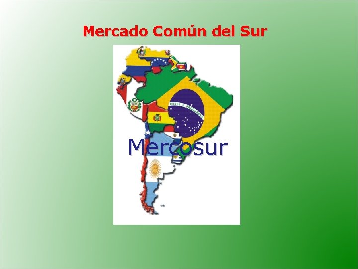 Mercado Común del Sur Mercosur 