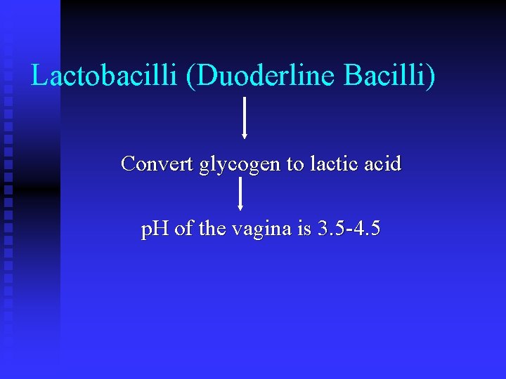 Lactobacilli (Duoderline Bacilli) Convert glycogen to lactic acid p. H of the vagina is