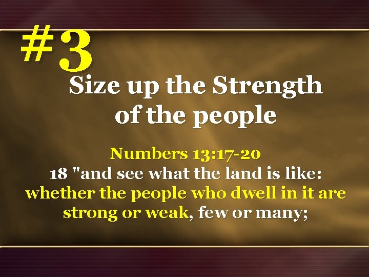 #3 Size up the Strength of the people Numbers 13: 17 -20 18 "and